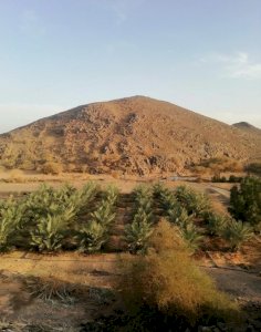 للبيع مزرعة بالمدينة المنورة