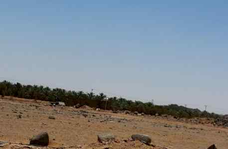 معروض أرض زراعية بصك شرعي للبيع في المريّة