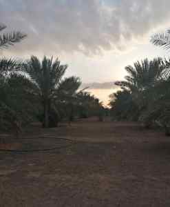 امتلك أرض للبيع ع 3 شوارع