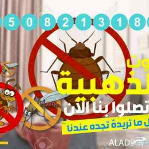 تركيب طارد الحمام بالمدينة المنورة 0590619062