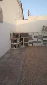 نجار فك وتركيب حي الياسمين بالرياض 0531962069