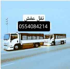 دينا نقل عفش حي العزيزية 0554084214