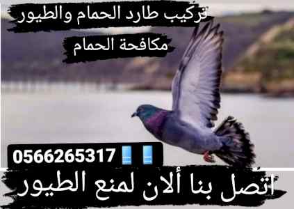 شركة تركيب مانع الطيور بالمدينة المنورة 