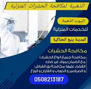 شركة مكافحة الذباب بالمدينة لمنورة 0590619062