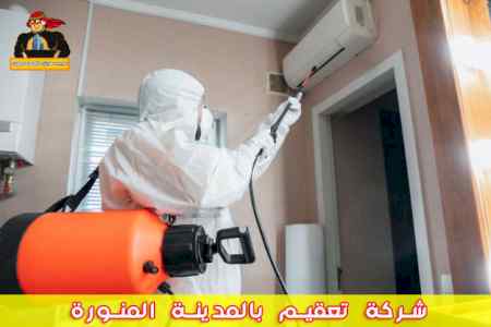 شركة تعقيم مدارس بالمدينة المنورة 0536591696 