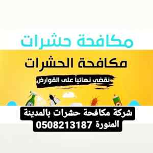 شركة رش الدفان بالمدينة المنورة 0508213187