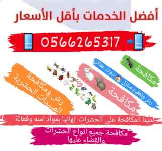 شركة مكافحة فئران بالمدينة المنورة 0566265317
