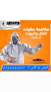 شركة تعقيم مدارس بالمدينة المنورة 0566265317