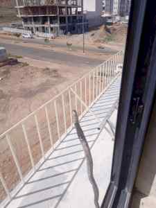خدمات حداد_المدينة#المنورة@0534271179