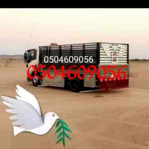 طش رمي اثاث قديم بالرياض 0504609056