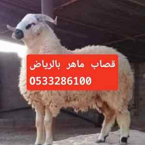 قصاب ماهر بالرياض 0َ533286100 قصابين زبايح با