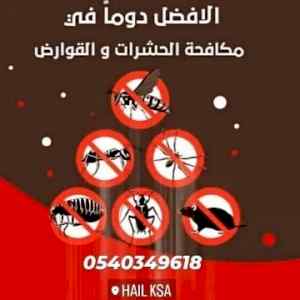شركة رش ومكافحة حشرات بحائل بالضمان0540349618