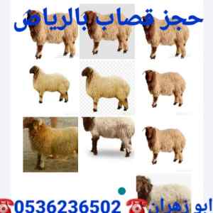 قصابين بالرياض 0536236502قصاب ماهر 